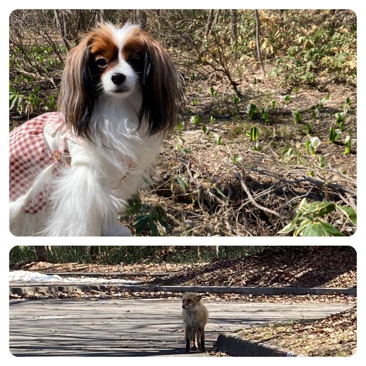 934d163d 320a 4a6a b0f9 e6ecd4411903 1650094770840