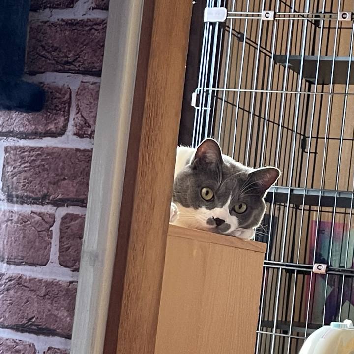 934d65db eafc 4fdb bb6a ce8d588a058a 1662333521335