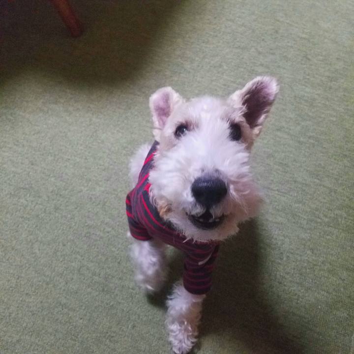 934d7686 0bcf 4a2b b92a af7efb23a138 1545486520722