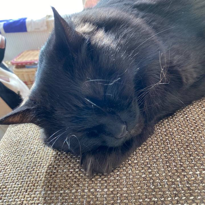 934d772d 4f30 49dd 980d 5b72026b9e2c 1642487907570