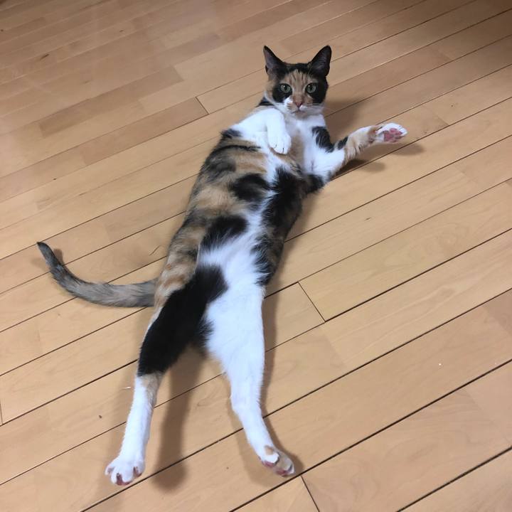 934d8491 2754 4f33 a890 e5a857068837 1559395164147