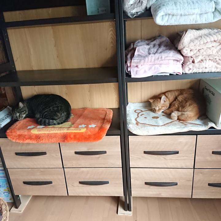 934dead6 283b 4758 8c9f 832860b0860a 1662618928702