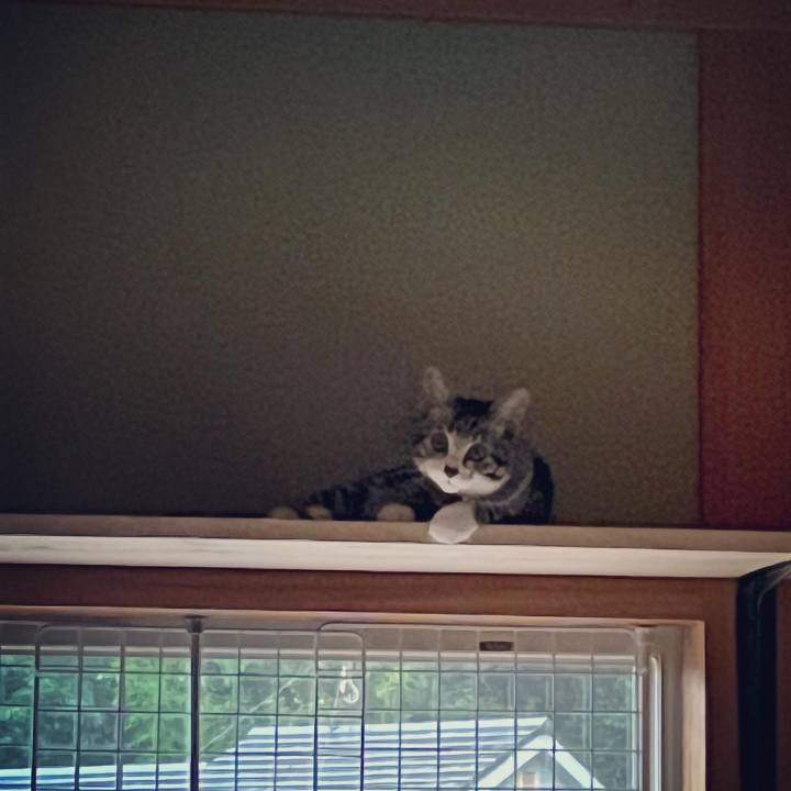 934e3a77 201f 42a8 a413 d1929245345f 1692171088026