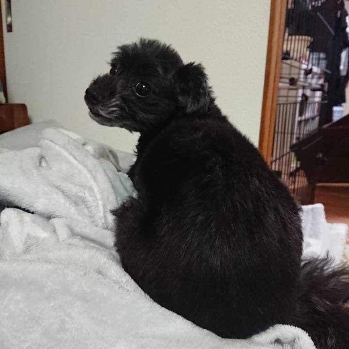 934e3d02 9d15 4e7a afb5 af7ddccdeeb0 1574691270924