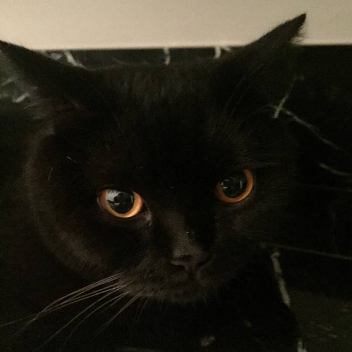 934e3d82 7976 4616 b5ac 75936402c620 1536184123357