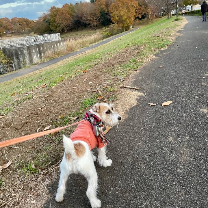 934e424f 758e 4a13 b10e ae560e0871ee 1638290727848