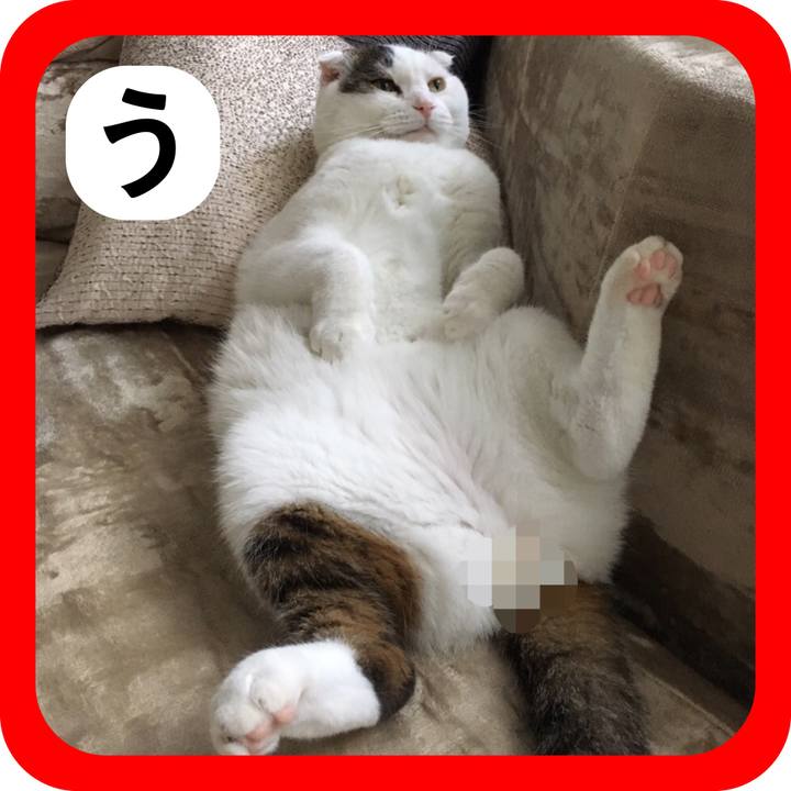 934e50f1 e0e2 4a32 900f 11999d66b469 1515387112106