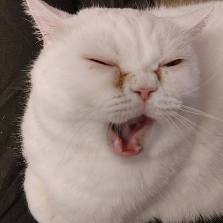 934e6847 8bce 4067 9a91 26c2c37bddc3 1613787537461