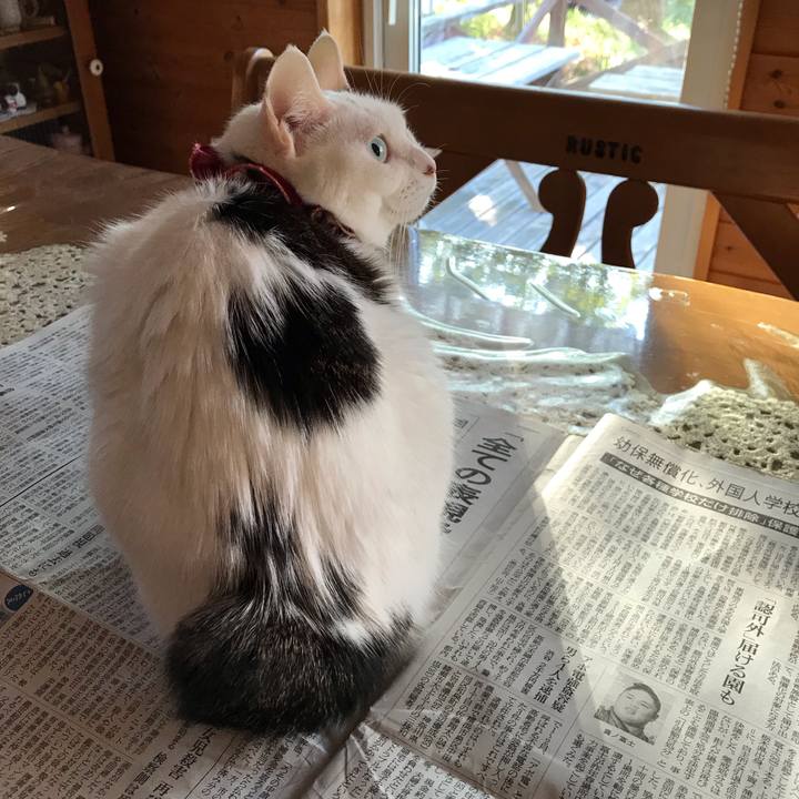 934e6d89 974d 4dda a1eb 19f59a8ace25 1569581375891