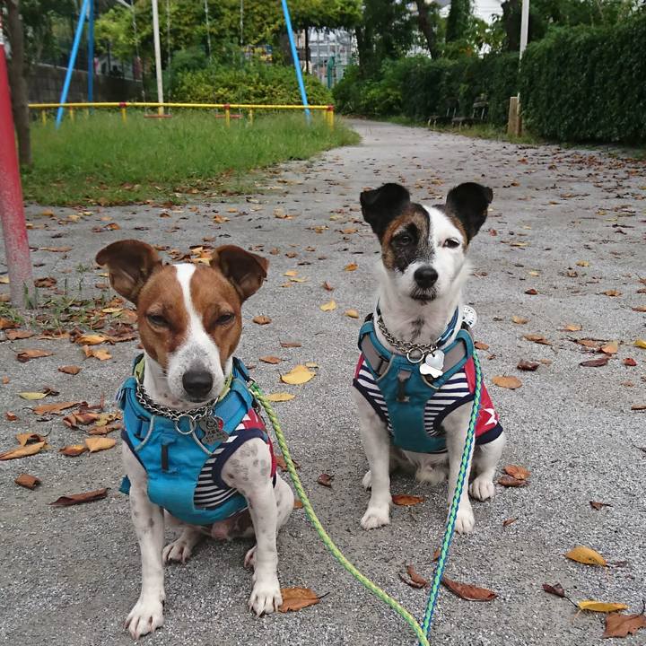 934e8335 1c83 4ebe bf22 6a8028d9ed25 1602718288282