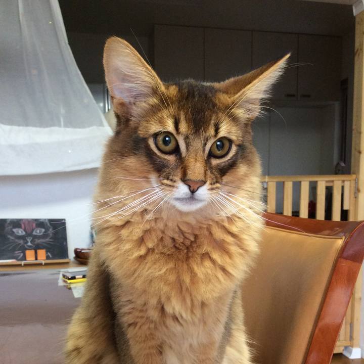 934e86e6 0ee6 4056 9a79 f244272e1997 1578357118974