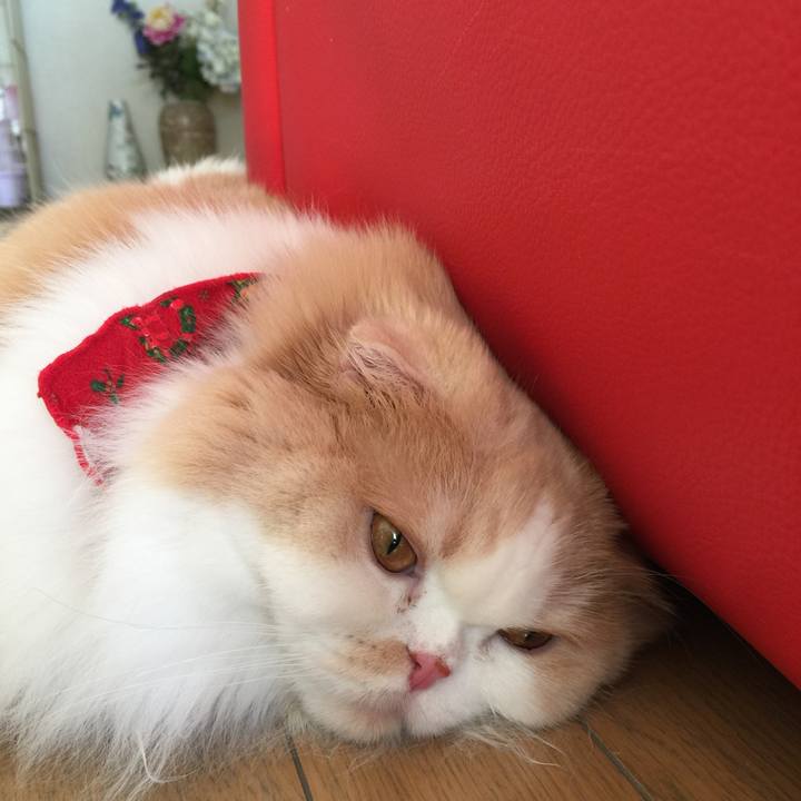 934ec2ad 0cd9 4282 8e14 0aae7f357835 1546304578029