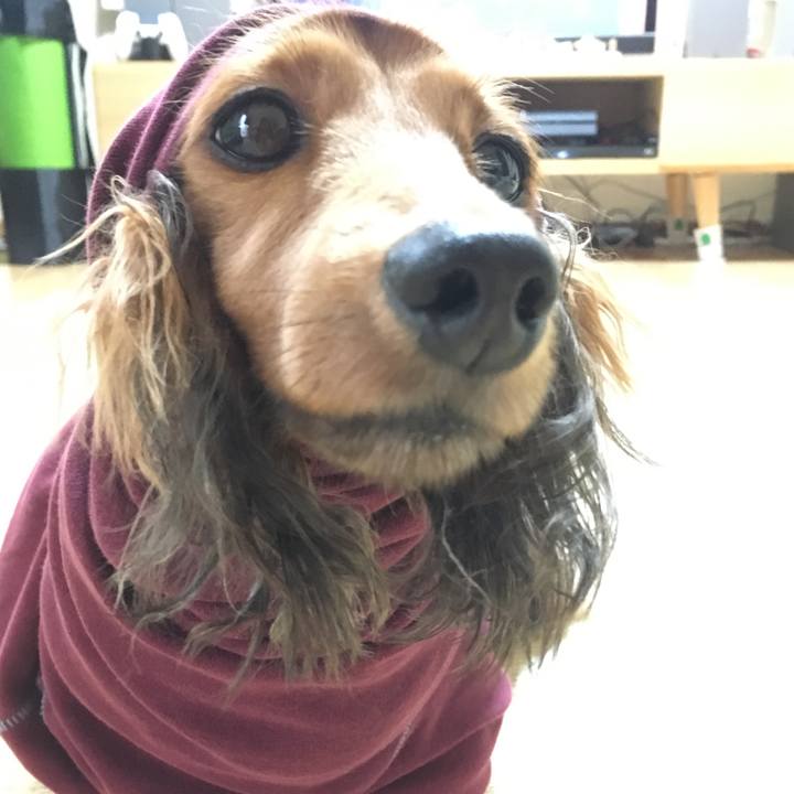 934ede9a 52ce 4c0a a269 214b4bbfac11 1508816100817