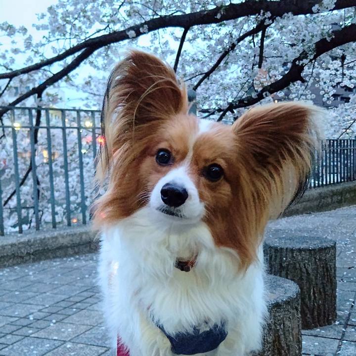 934ee06c 2187 4f05 94d1 7c8555f2e89b 1712729967004