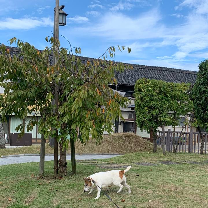 934f2303 fe89 4418 aa61 329c380ebdfa 1602806616864