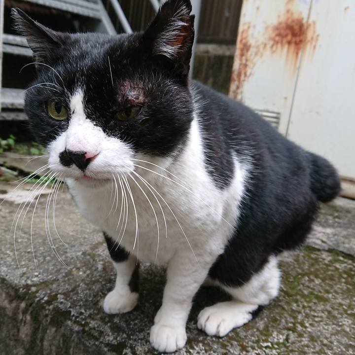 934f2a3b b598 494b bdd3 ab53c2408d09 1578811879324