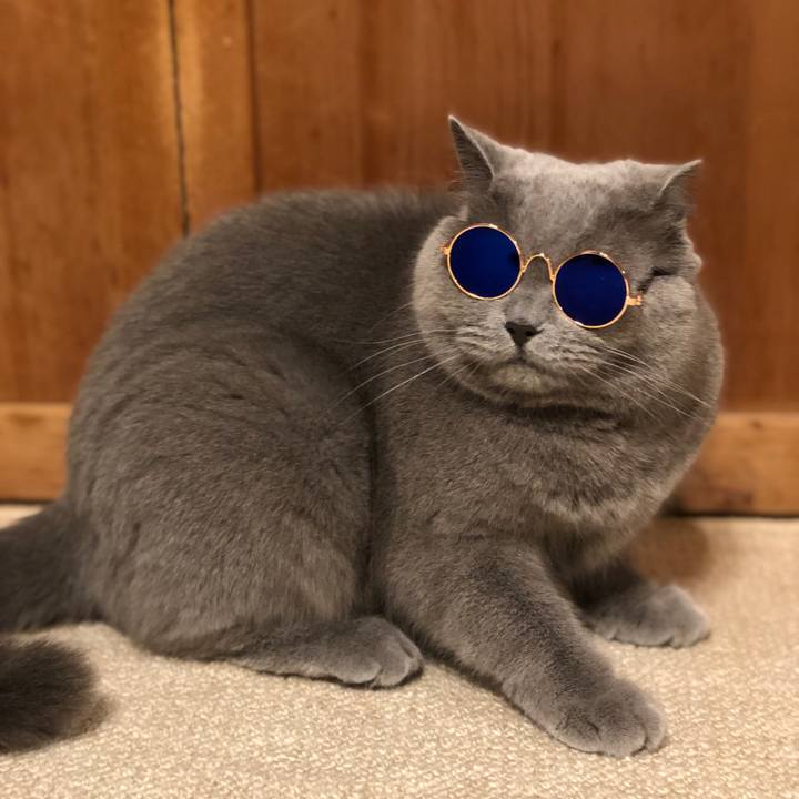 934fa711 d18f 44f5 8567 5e16265187a9 1556078367929