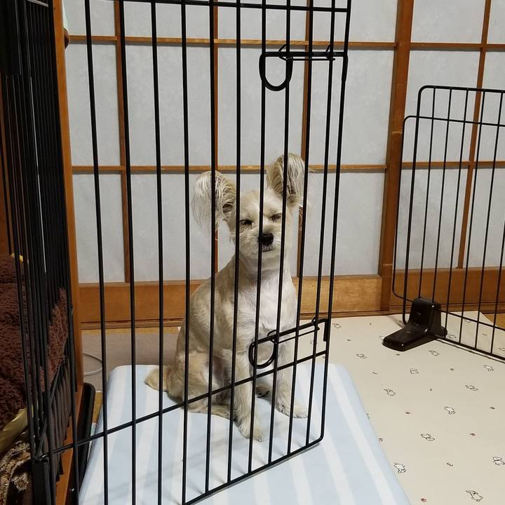 934fc0ce 5274 460b 83c7 e5c092de643f 1531311709935