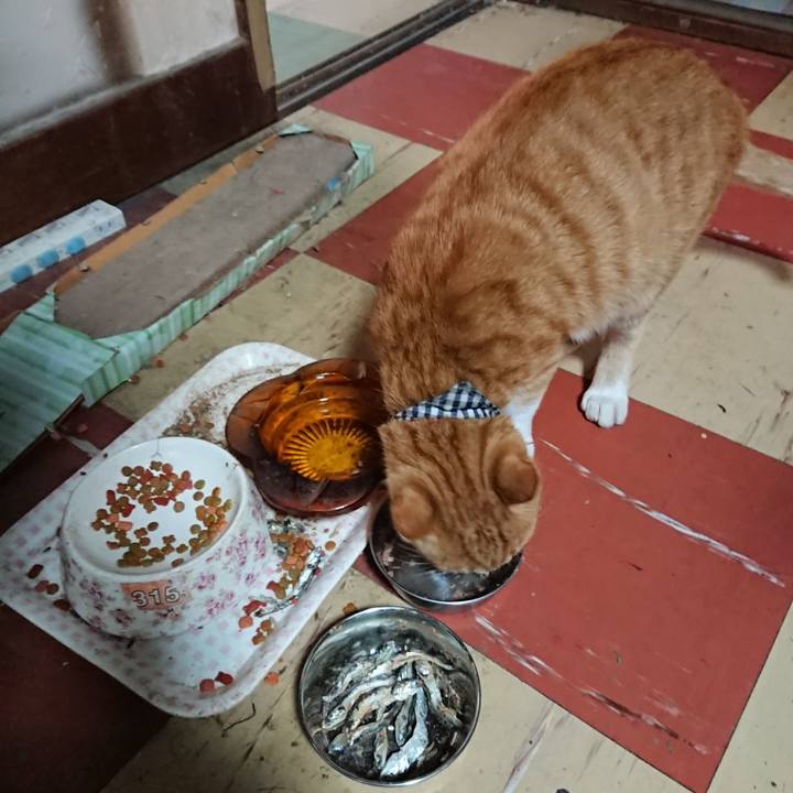 93500838 f8b6 4320 94e7 9394bfd14e21 1570568802494