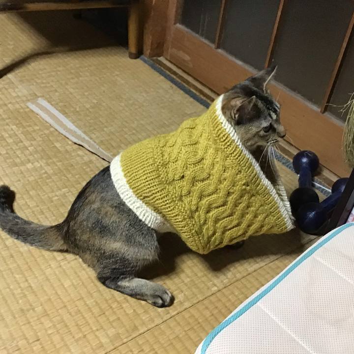 9350114d 44a3 4609 a185 d8262fc0d07f 1575703544440