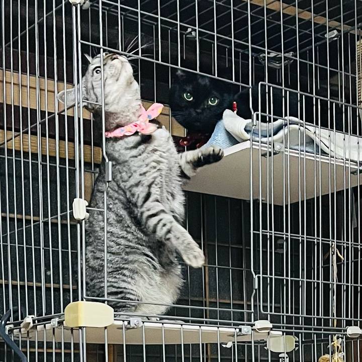 9350230e beee 4c48 abfe fa7e6f42ec42 1763852894841