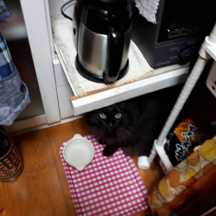 935051b4 6c37 4605 ae00 ae12f7194580 1522787435392