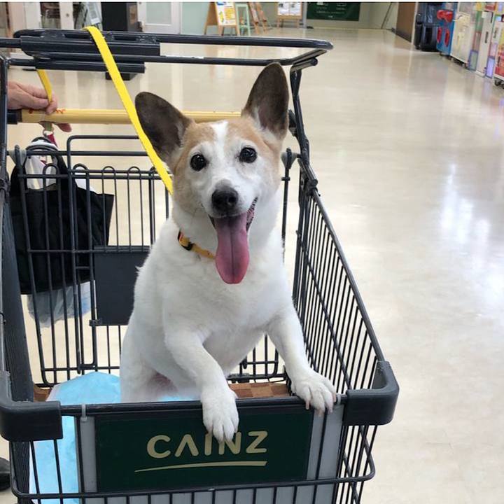 935090af 8806 4500 a4d2 a13cd68b315e 1689370877882