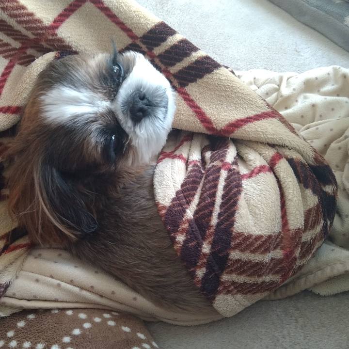 9350c92b 1137 420a b6e9 60b2f368d427 1773757260812