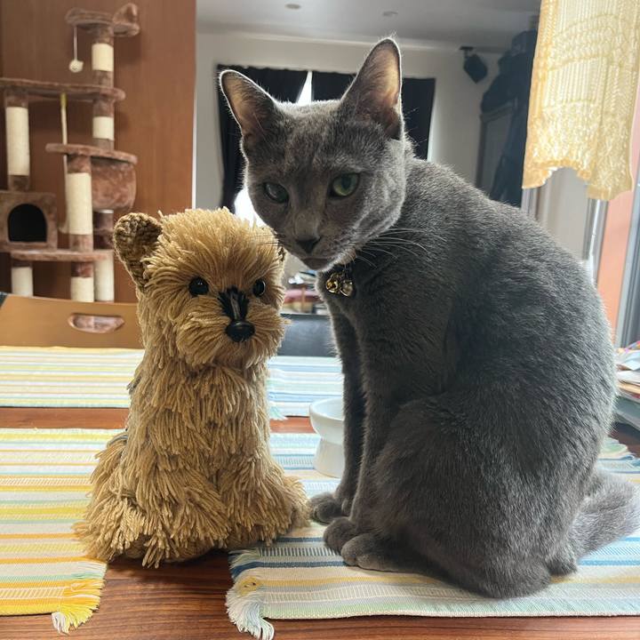 9350dea4 3625 4e51 98ee 5ba7474aa8ea 1688207866824