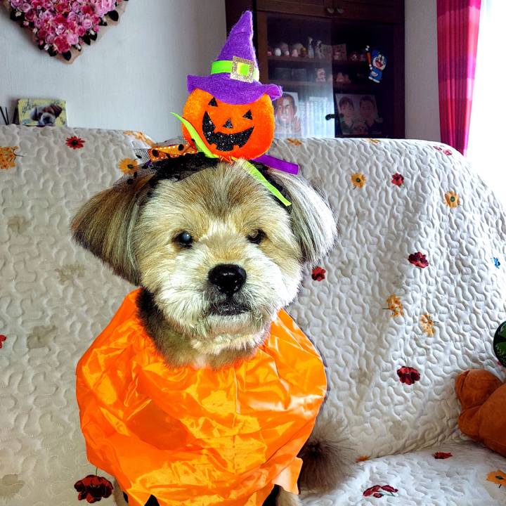 9350e3d7 188f 4948 9e23 a06c834330fc 1635653320189