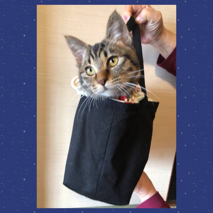 93512b43 348b 4974 a4b9 b9950c8c9054 1732186416778