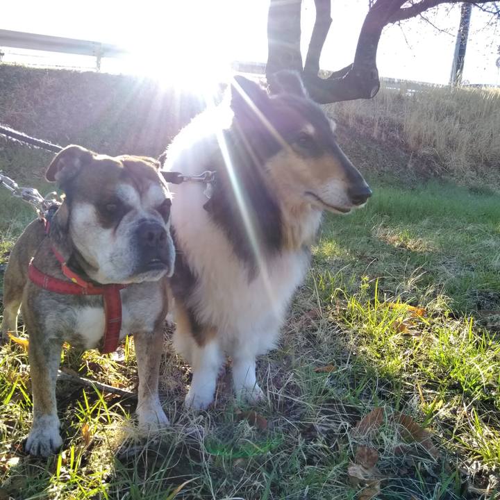 93512b82 26a9 46d2 9ee0 8b95c01f246e 1563376603046