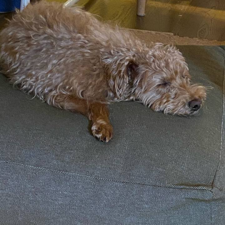 93512f39 5a15 4112 8cc3 c68a188e6d61 1674855632974