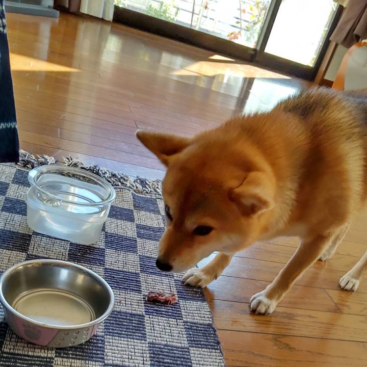 9351386e 5364 4c0f bca8 f20aed8c25af 1637645160410