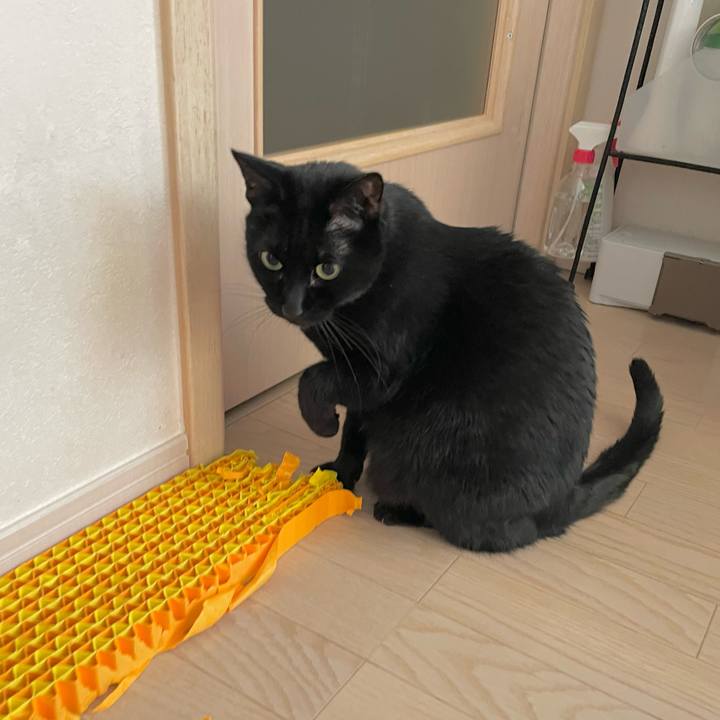 9351640b a2a4 4cbc 810e 8062466c108b 1739264960114