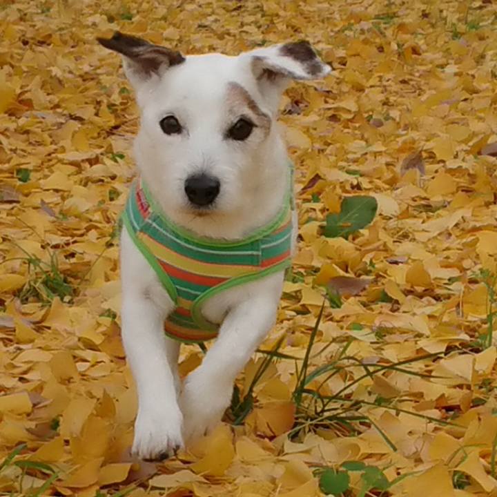 93517d65 c04a 4bd5 bd18 aac114d7e57d 1544356334818