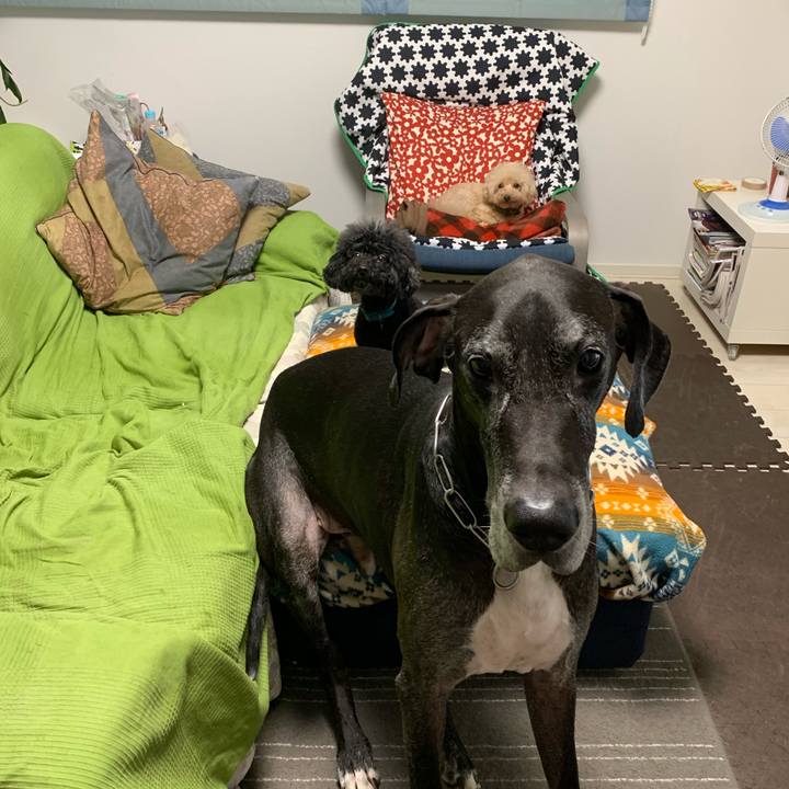 9351ae0b 2f58 46f8 883a 9f1ae5353376 1571092245095