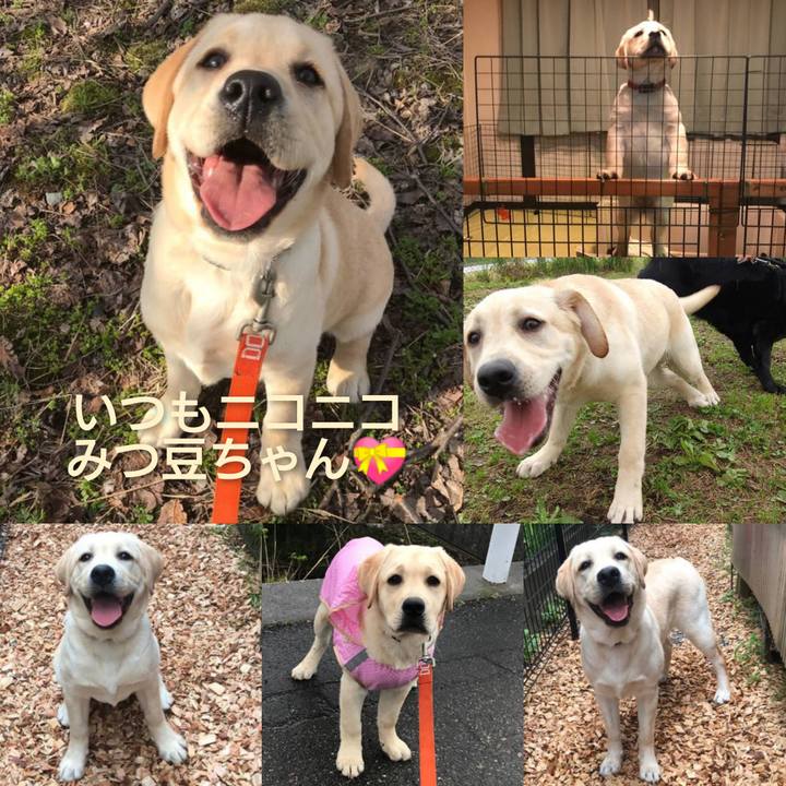 9351c311 f650 42f4 8bbe 2130767d45fe 1625523970072