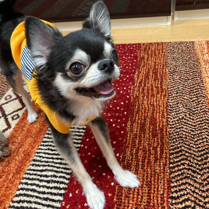 9351d9e3 89f8 4d2f 9da6 613219c74d1f 1670687768465