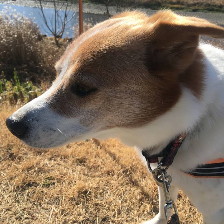 9351f207 9392 4aea 893f 14c2b8fddf11 1548560840895