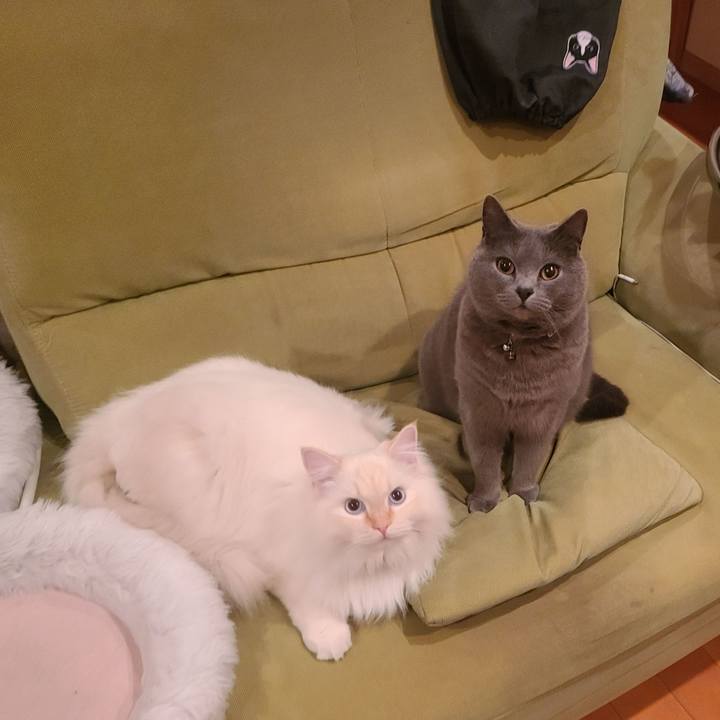 9351f64c e2f5 4d29 9e85 4c5587712fa1 1673869478434