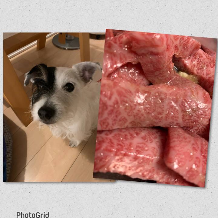 93521186 2786 4933 b43a 066b46a8d052 1674209444207