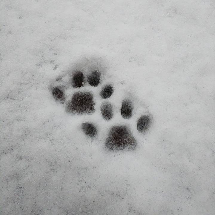 93523946 9366 4b30 adea 61050aeaa42f 1606538995018