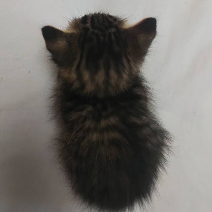 93525008 9047 4941 9815 6fc3a5d3d3d4 1631951997345