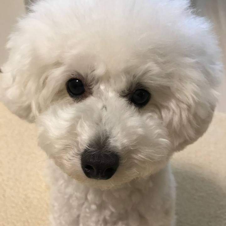 93525663 0059 4c3a b416 051a6702ff47 1516777770626