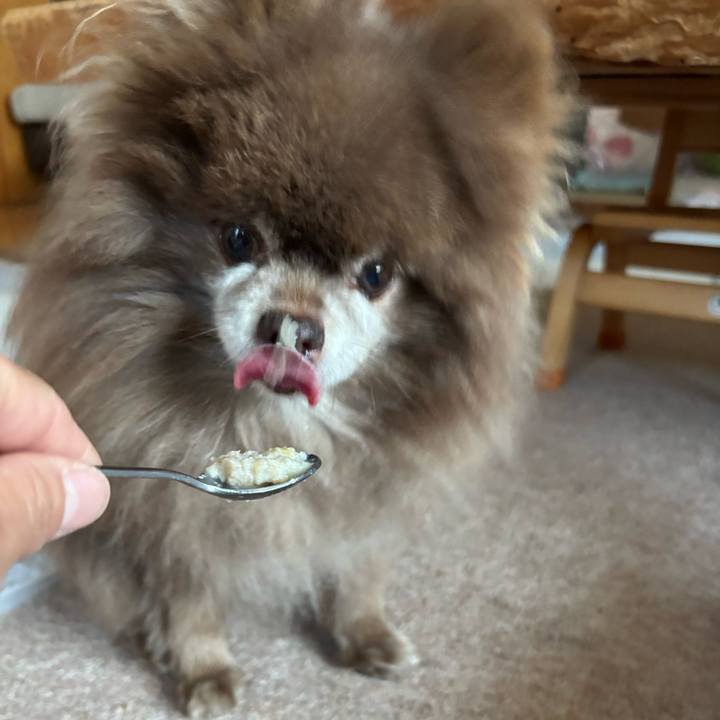 935257c1 964a 4958 a576 1874d95b5822 1747425989768