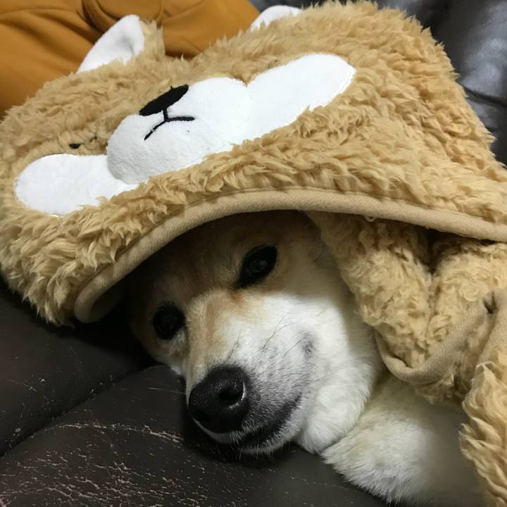 93526e96 cf7d 453d 8776 c2fd46d76b03 1507855373958