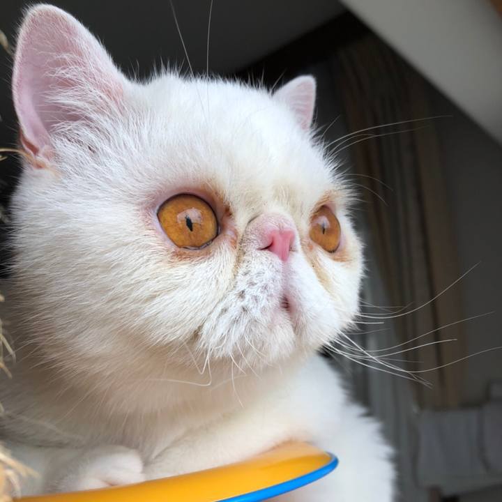 935270c5 091d 4eba 822d 0216e08d2c2c 1594452263059