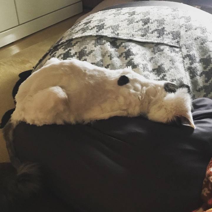 935283cb cacb 46e5 b3a7 34c5a0d3dc15 1584958061068