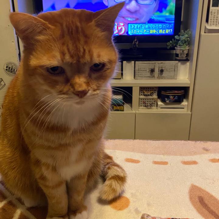 93528c7b d874 4d4e 9379 f83f7ab97c13 1578102512799